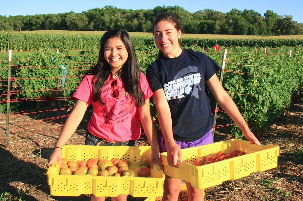 Lacy Garden Food Pantry Gardens